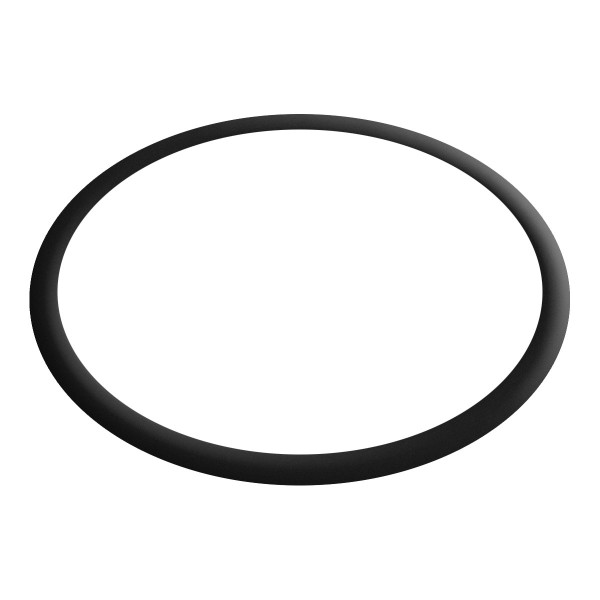 Seal (O-ring) for 3/4 inch connections - FPM, 24x2